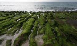 Featured image of post Laomei Green Reef, Shimen, Taiwan