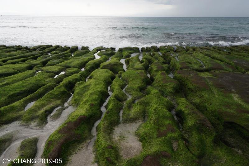Featured image of post Laomei Green Reef, Shimen, Taiwan