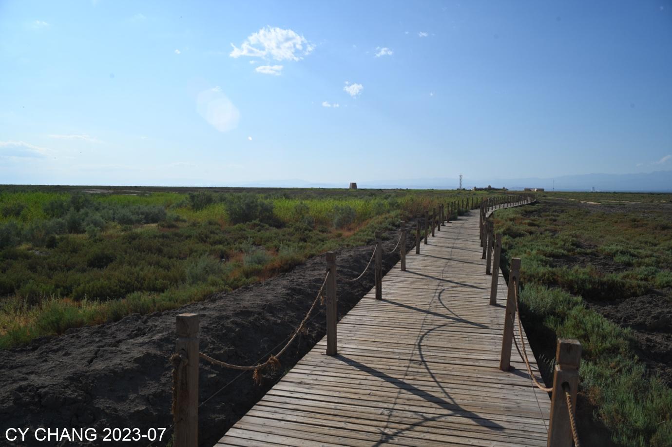 Grassland in the basin
