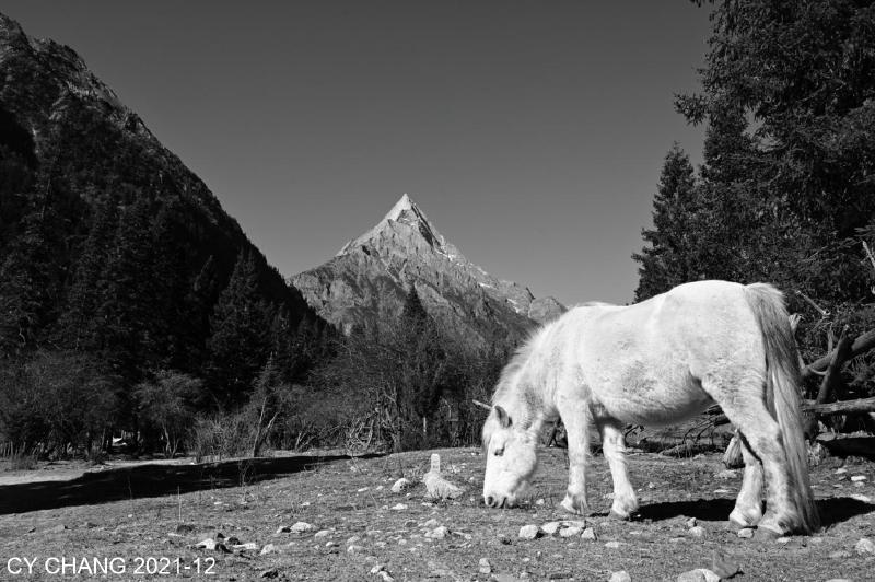 Featured image of post Siguniang, SiChuan