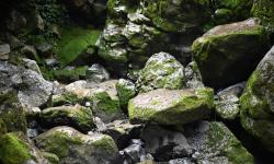 Featured image of post The Wulong Karst, ChongQing