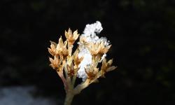 Featured image of post Winter in Shanwangping, Nanchuan, ChongQing