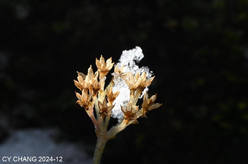 Featured image of post Winter in Shanwangping, Nanchuan, ChongQing